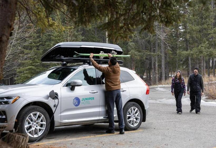 The Juniper Hotel & Bistro