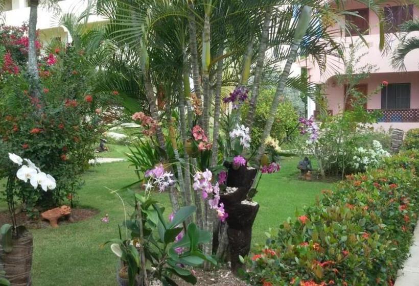Soficu Hotel El Edén Dominicus