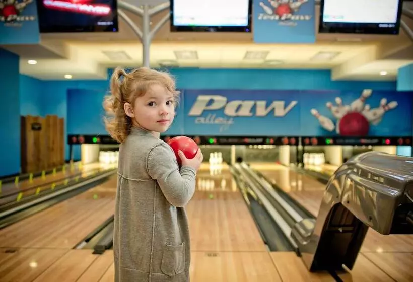 Отель Great Wolf Lodge Niagara Falls