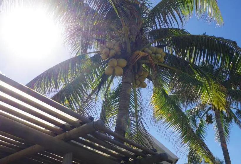 هتل Silver Beach