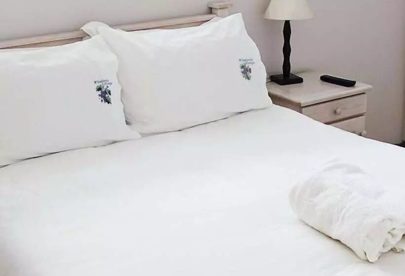 فندق Winelands Lodge