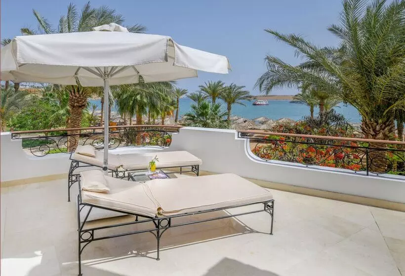 Iberotel Palace Adults Friendly 16 Years Plus