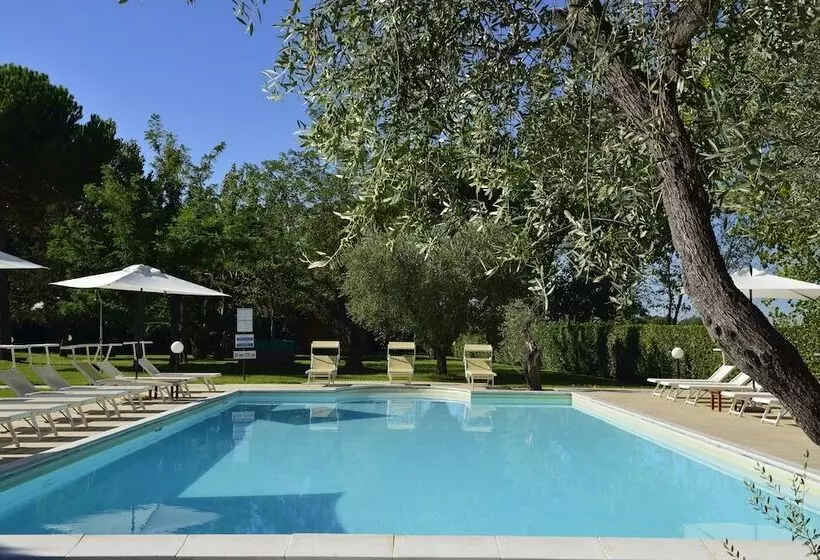 Fattoria San Lorenzo