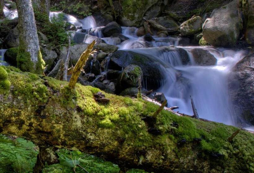 בית מלון כפרי La Morera