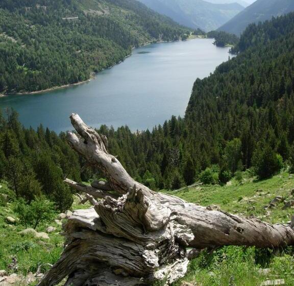 בית מלון כפרי La Morera