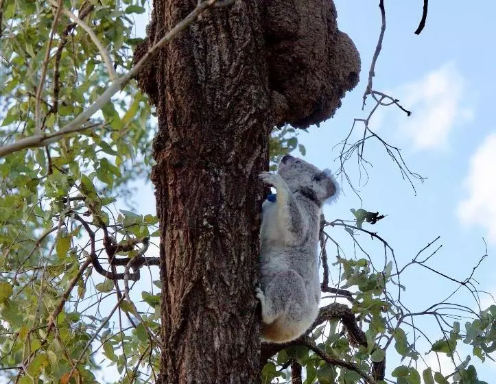 Отель Spicers Hidden Vale