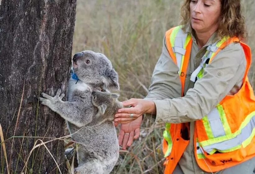 Отель Spicers Hidden Vale