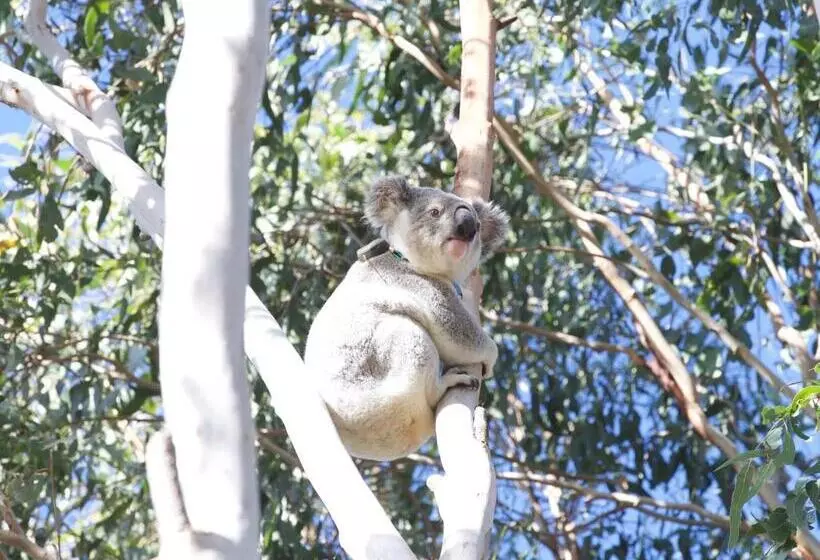 Отель Spicers Hidden Vale