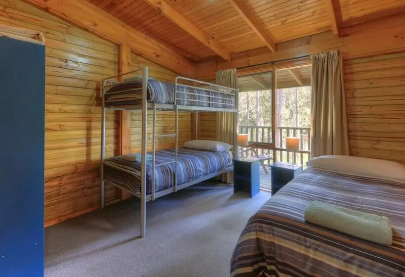 Отель Stewarts Bay Lodge