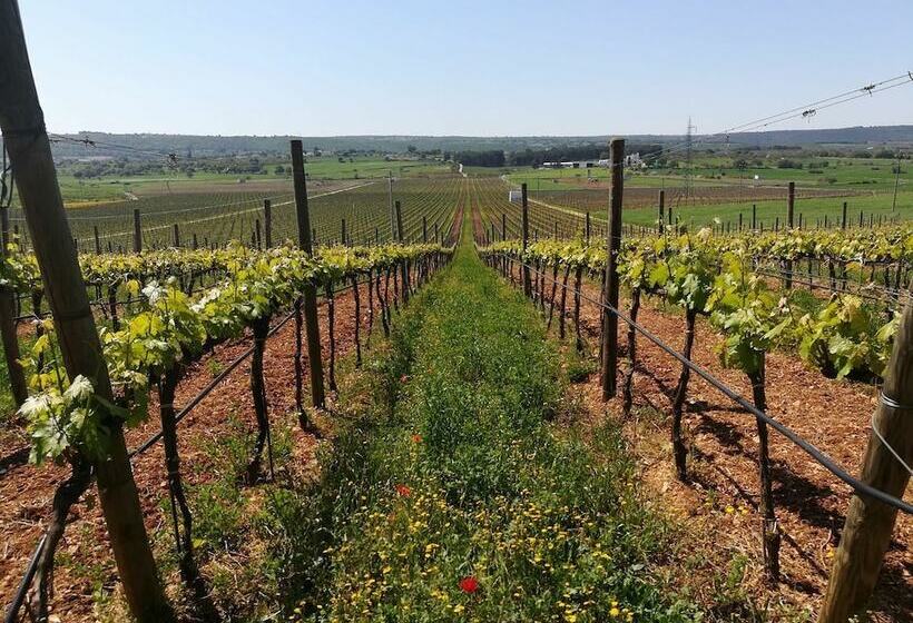 酒店 Masseria Torricella