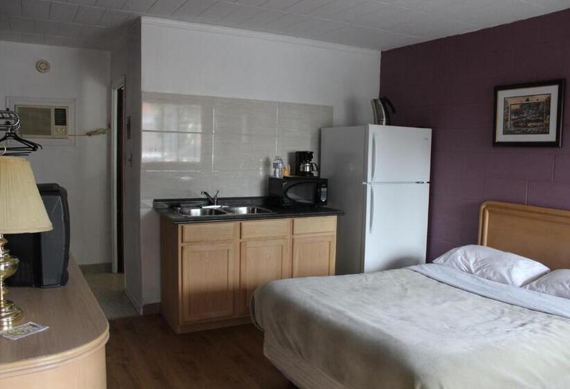 酒店 Ritz Inn Niagara