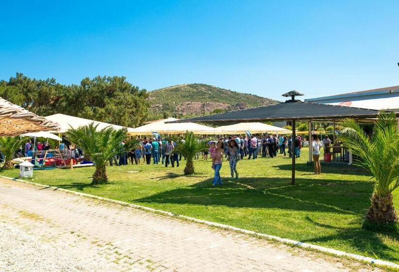 فندق Hanedan Beach