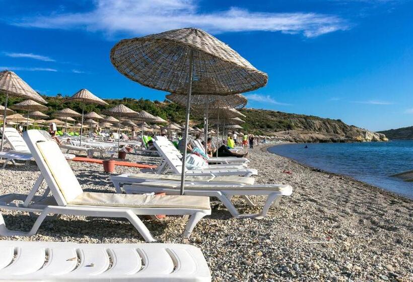 فندق Hanedan Beach