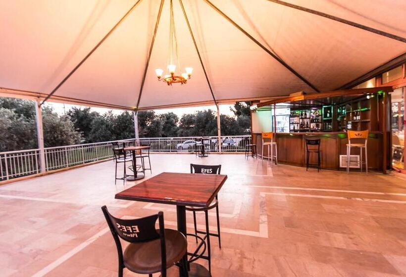 فندق Hanedan Beach