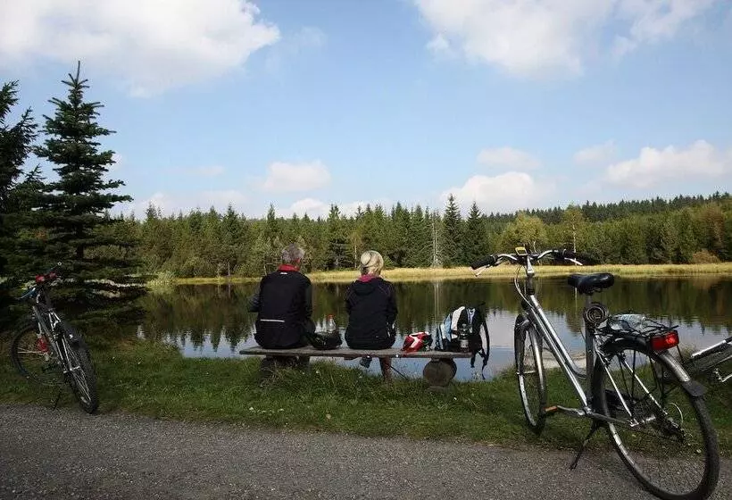 Отель Saigerhutte