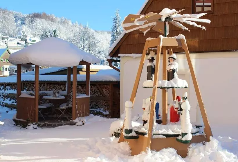 Отель Saigerhutte