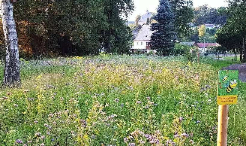 Отель Saigerhutte