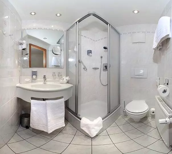 فندق Schweizer Hof  Superior