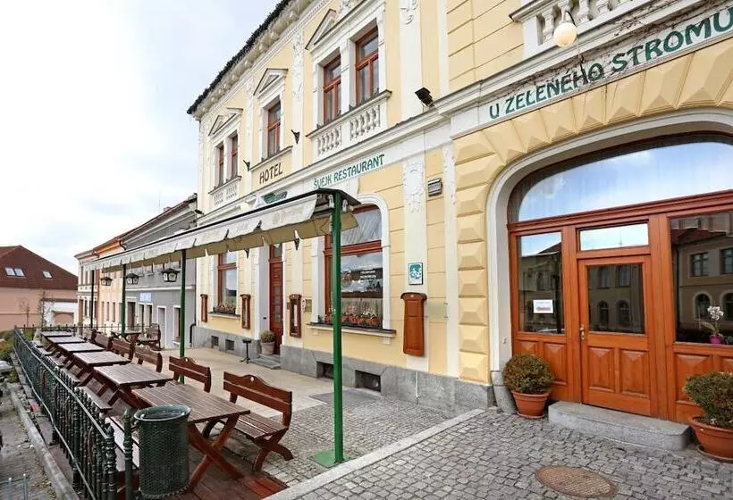 בית מלון כפרי U Zeleneho Stromu