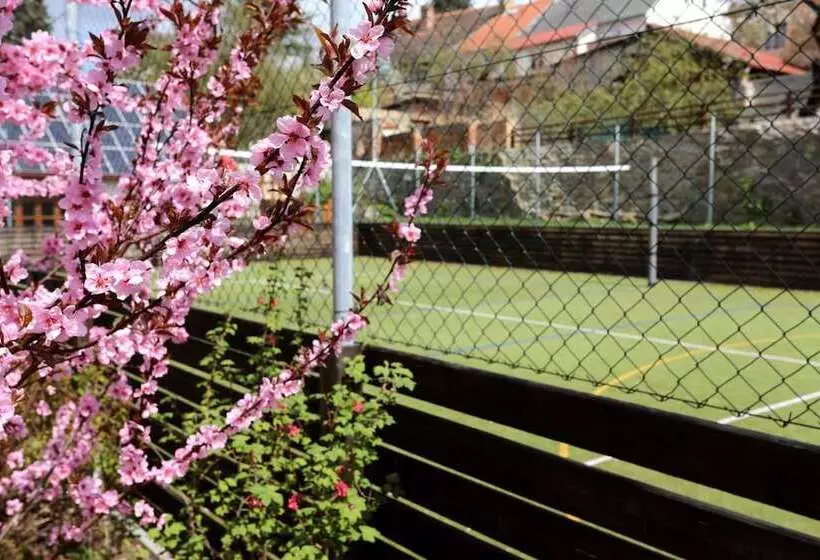 בית מלון כפרי U Zeleneho Stromu