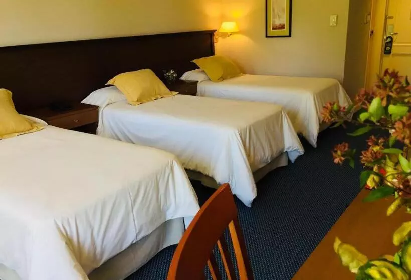 San Miguel Plaza Hotel All Inclusive