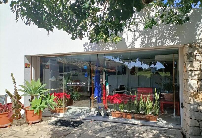 مبيت وإفطار Villa Aurea