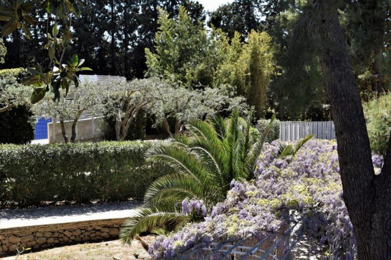 مبيت وإفطار Villa Aurea