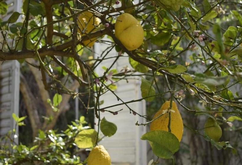 مبيت وإفطار Villa Aurea