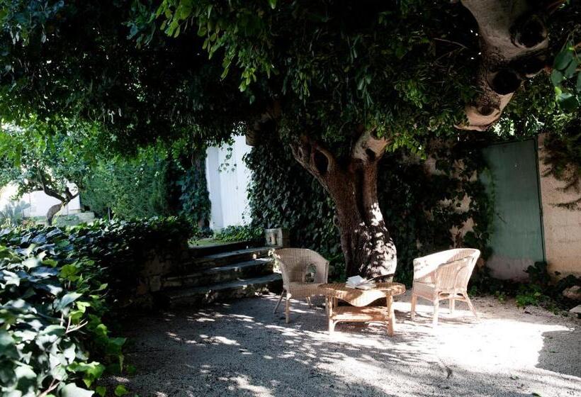 مبيت وإفطار Villa Aurea