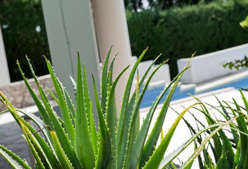 مبيت وإفطار Villa Aurea