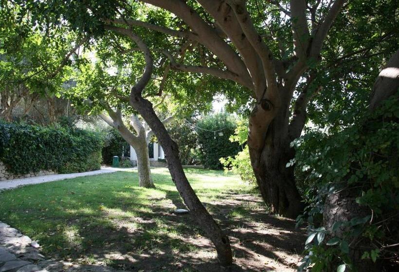 مبيت وإفطار Villa Aurea