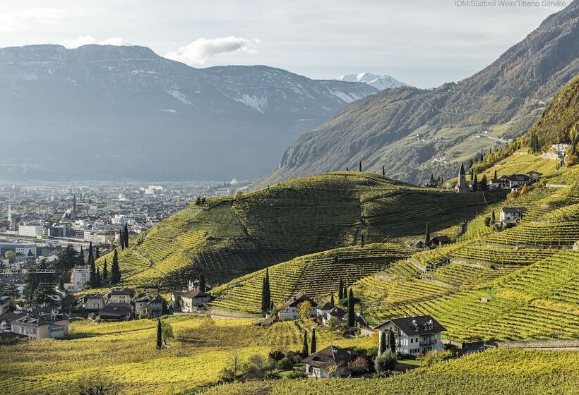 Greif, A Member Of Design Hotels