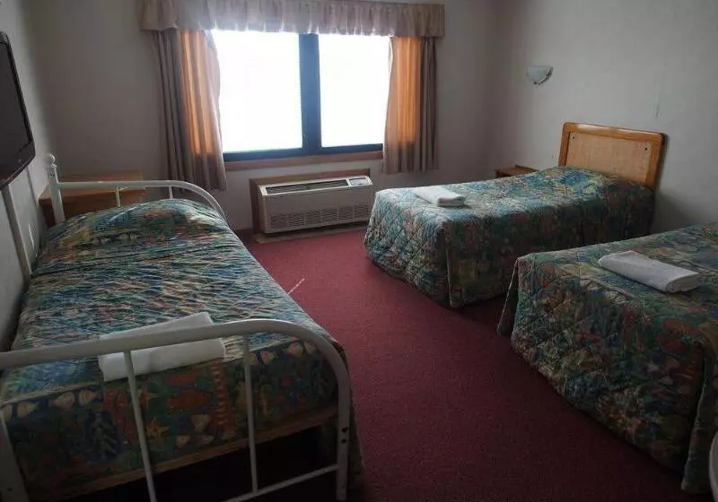 酒店 Ascot Motor Inn