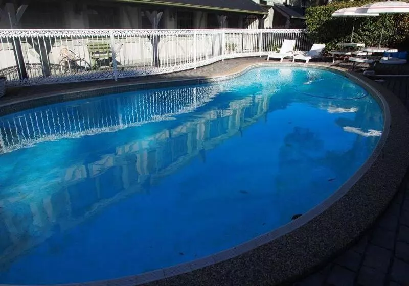 酒店 Ascot Motor Inn