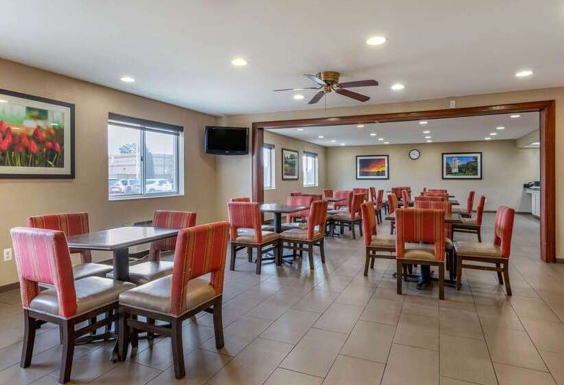 호텔 Comfort Inn & Suites Dimondale   Lansing