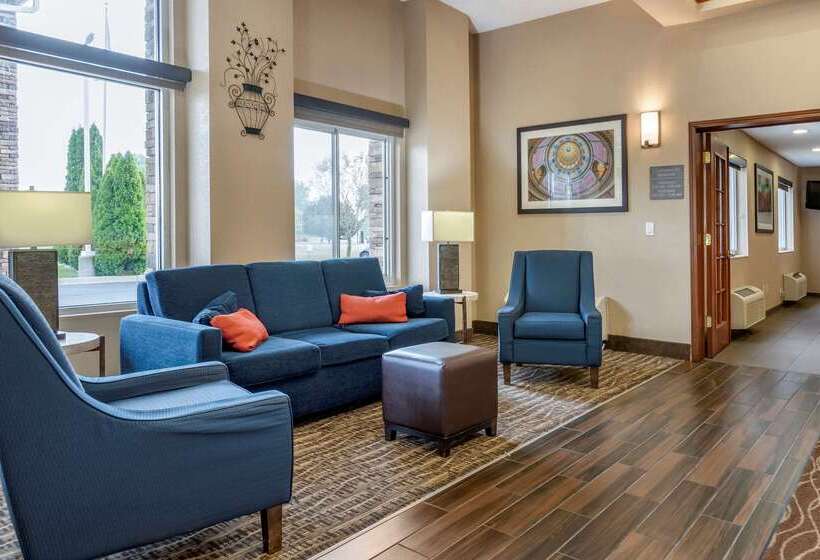 호텔 Comfort Inn & Suites Dimondale   Lansing