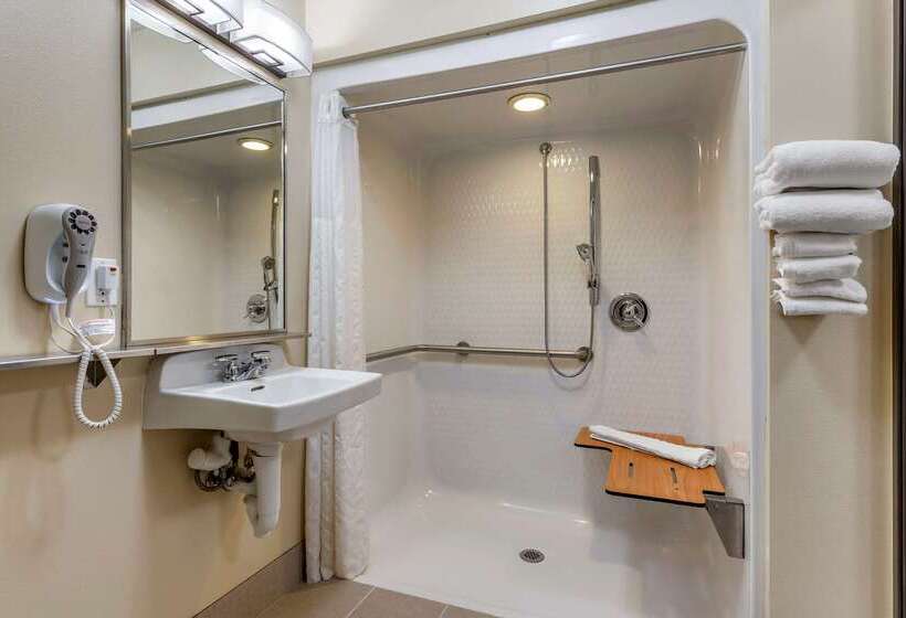 호텔 Comfort Inn & Suites Dimondale   Lansing