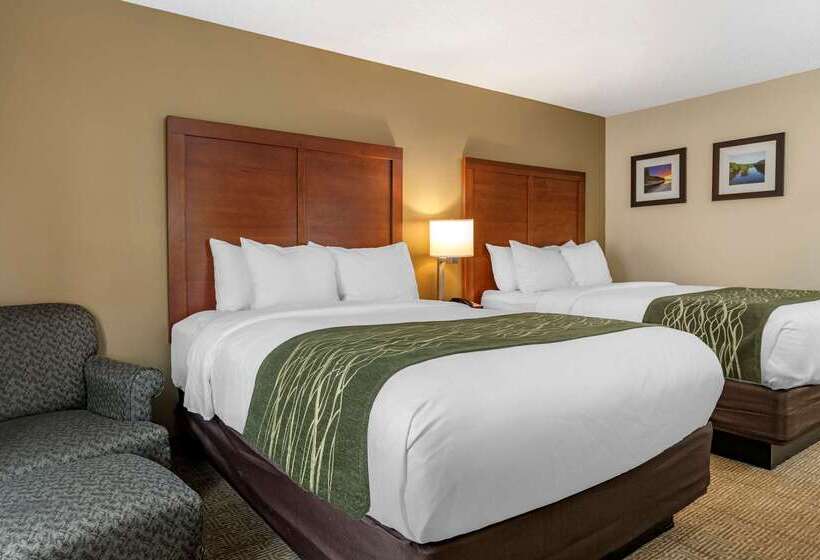 호텔 Comfort Inn & Suites Dimondale   Lansing