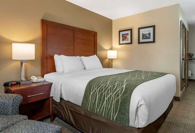 호텔 Comfort Inn & Suites Dimondale   Lansing