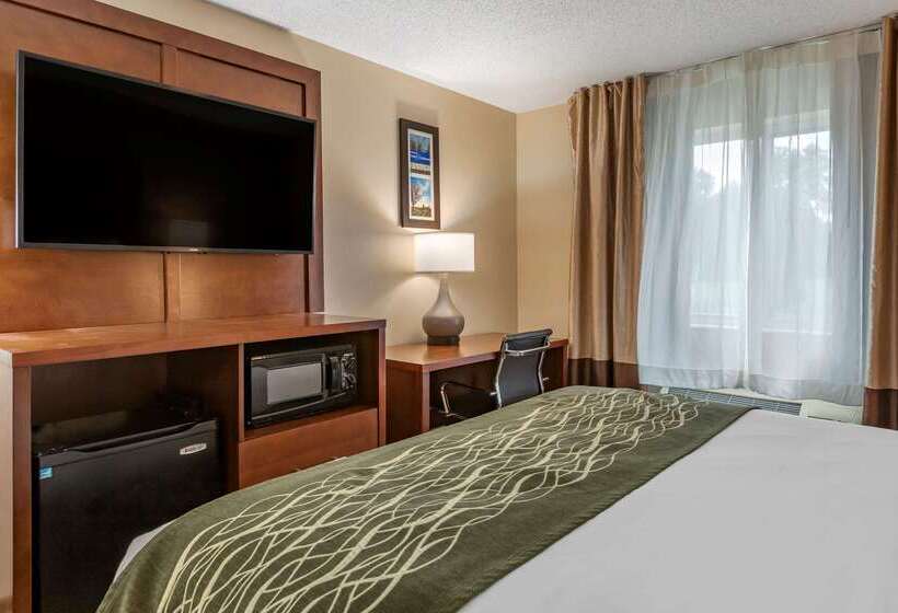 호텔 Comfort Inn & Suites Dimondale   Lansing