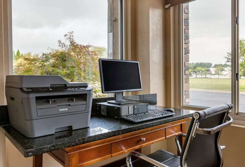 호텔 Comfort Inn & Suites Dimondale   Lansing