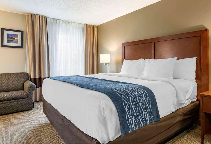 호텔 Comfort Inn & Suites Dimondale   Lansing