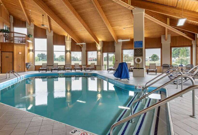 호텔 Comfort Inn & Suites Dimondale   Lansing