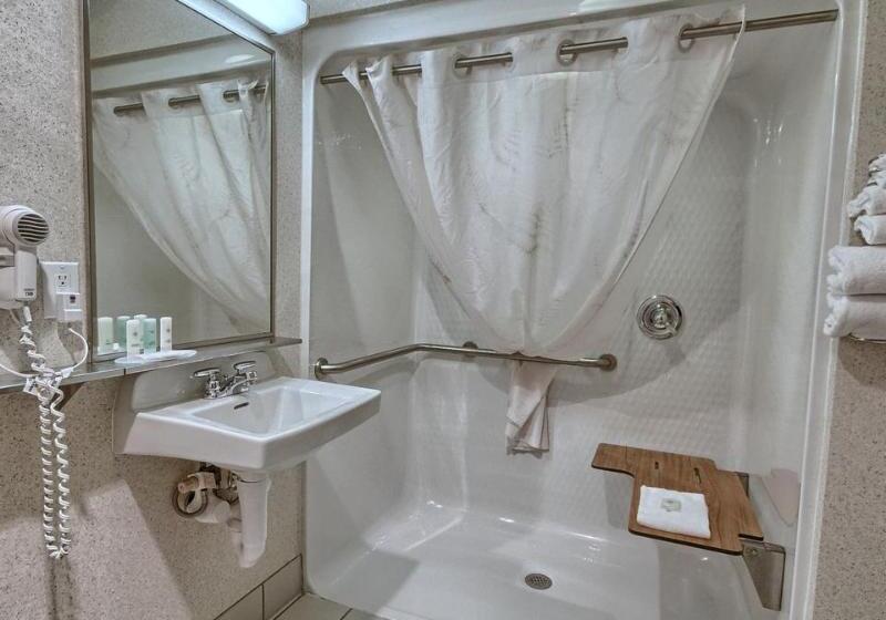 호텔 Comfort Inn & Suites Dimondale   Lansing