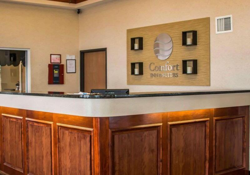 호텔 Comfort Inn & Suites Dimondale   Lansing