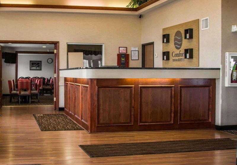 호텔 Comfort Inn & Suites Dimondale   Lansing