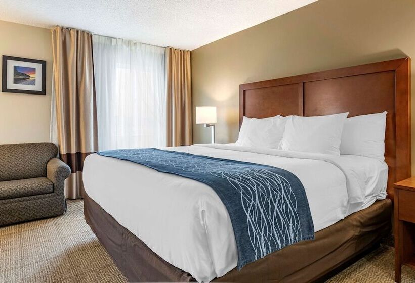 호텔 Comfort Inn & Suites Dimondale   Lansing