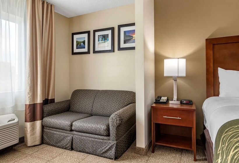 호텔 Comfort Inn & Suites Dimondale   Lansing