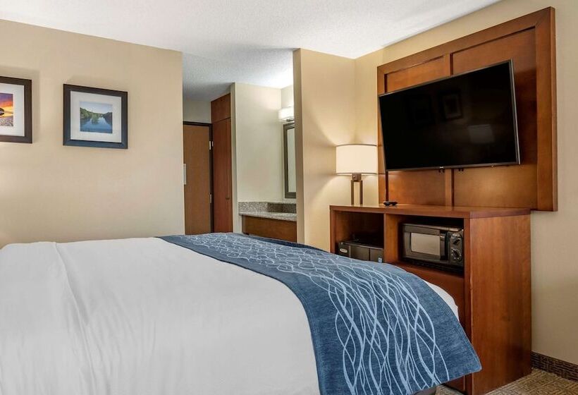호텔 Comfort Inn & Suites Dimondale   Lansing