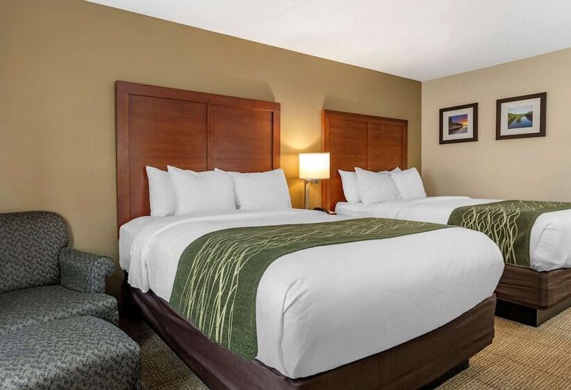 호텔 Comfort Inn & Suites Dimondale   Lansing